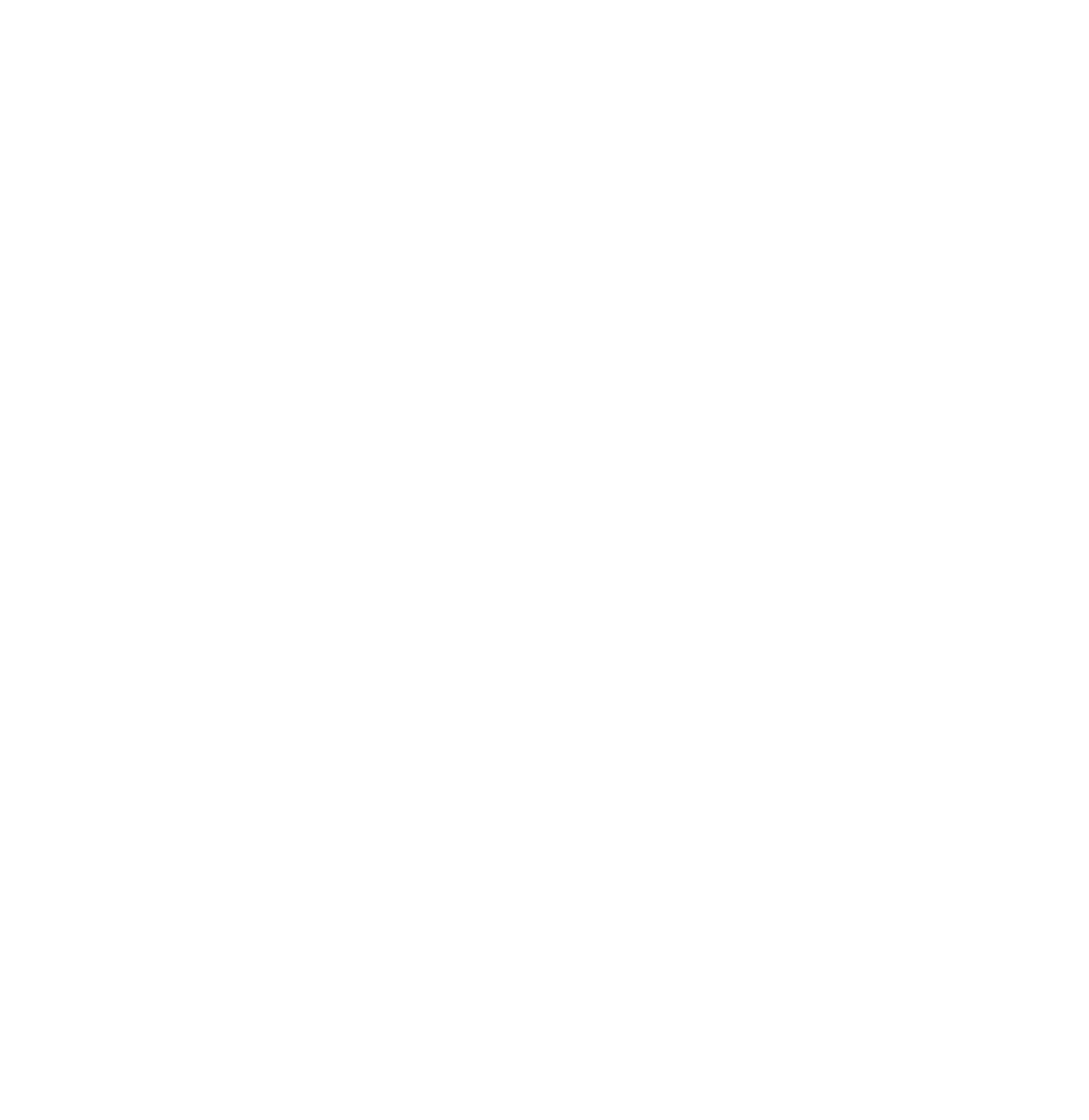 FPV Logo